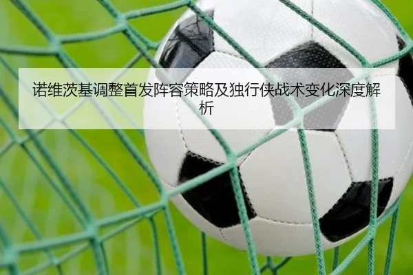诺维茨基调整首发阵容策略及独行侠战术变化深度解析